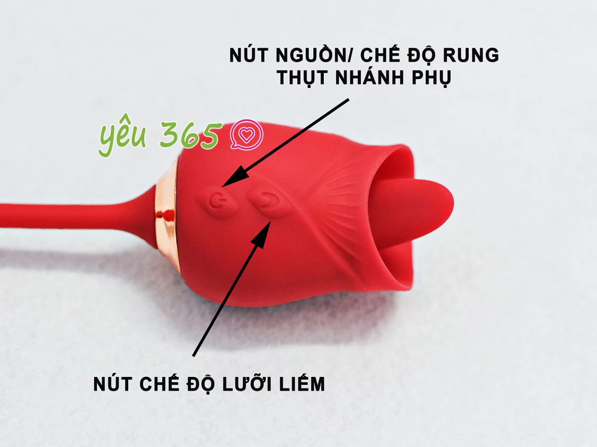 Trứng rung tình yêu hoa hồng hai đầu